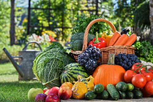 德清農副產品特色美食歡樂購開啟，新鮮蔬菜等您來選購