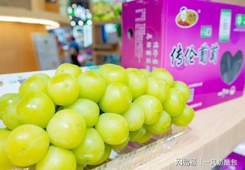 滬產(chǎn)優(yōu)品產(chǎn)銷(xiāo)會(huì)放異彩 四款明星苗木農(nóng)產(chǎn)品憑啥出圈