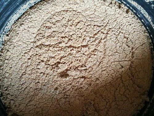 正宇多多黑水虻發(fā)酵蟲(chóng)漿 內(nèi)陸水產(chǎn)養(yǎng)殖的綠色革命，魚(yú)蝦健康新“食”代