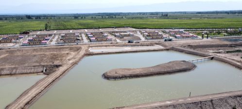 碧水映青山 魚(yú)躍產(chǎn)業(yè)興——內(nèi)陸水產(chǎn)養(yǎng)殖開(kāi)辟致富新路徑